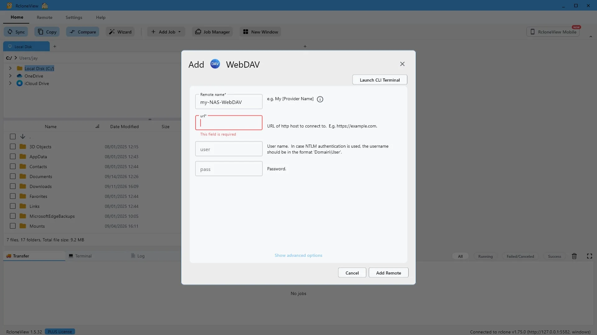 Schritt 4: Geben Sie dieser Verbindung einen Namen, den Sie später wiedererkennen. Wir verwenden „my-NAS-WebDAV“.