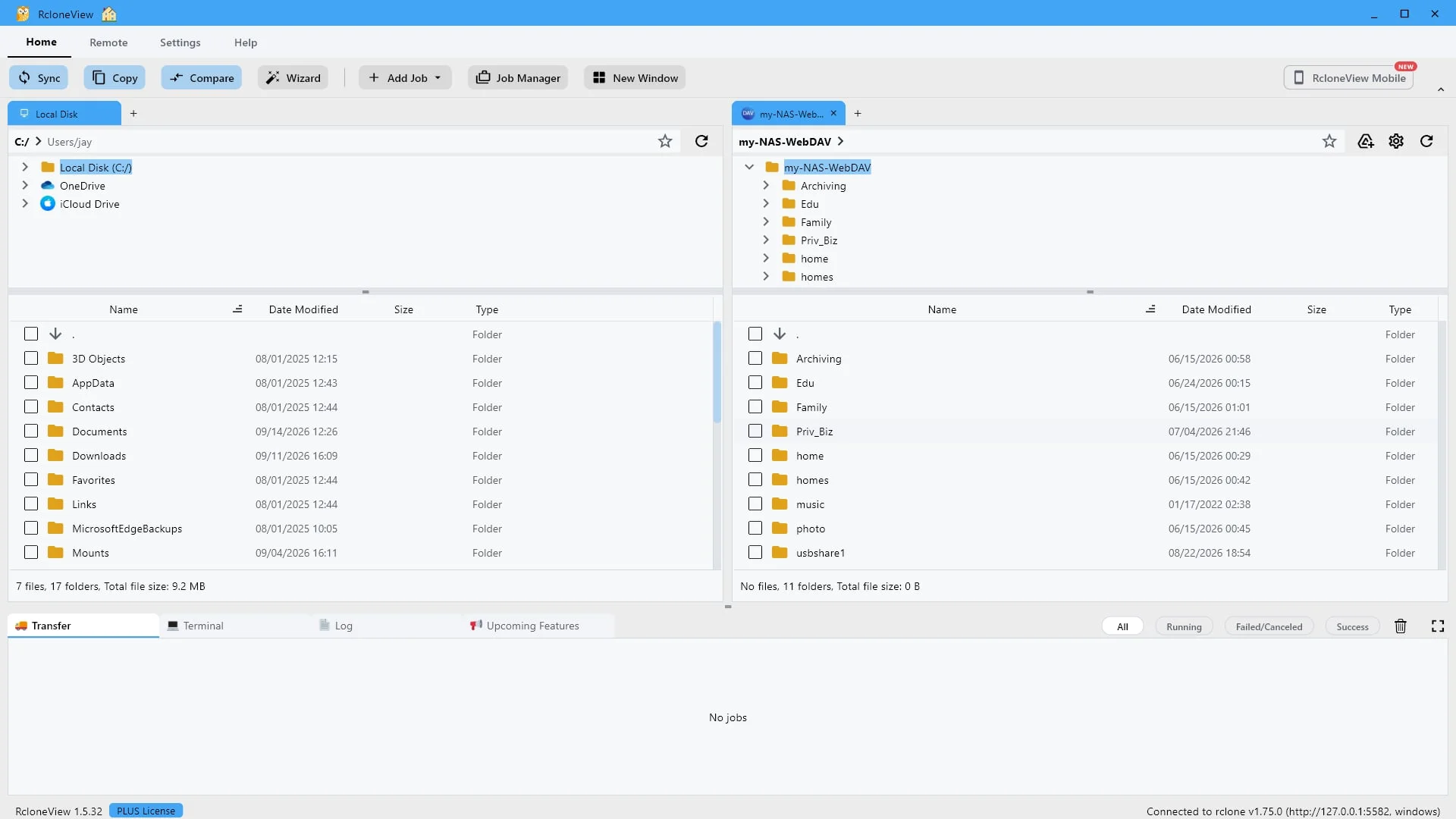 Schritt 10: Durchsuchen Sie den Server direkt hier. Kopieren, synchronisieren oder vergleichen Sie ihn mit einem beliebigen anderen Remote-Server.