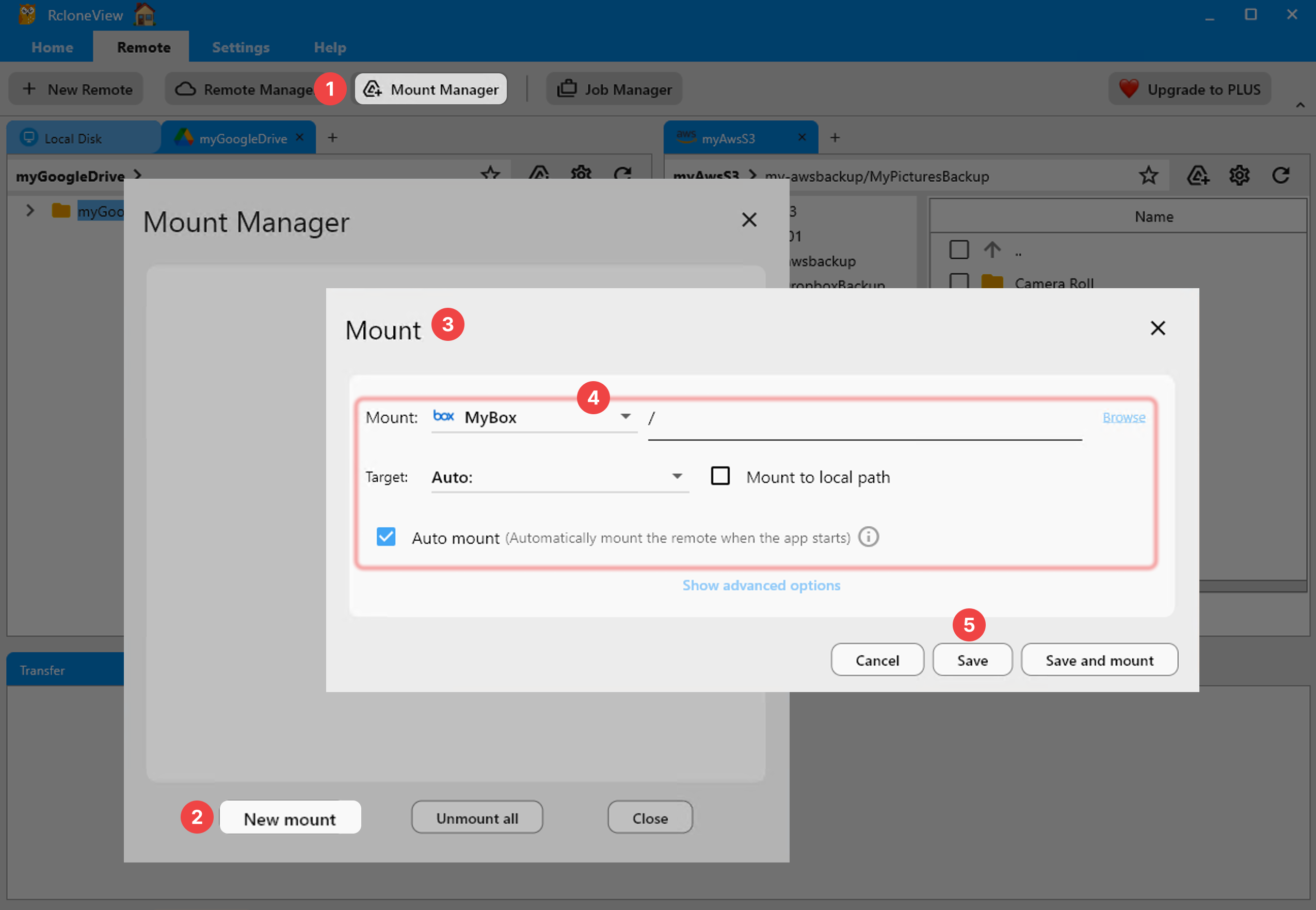 Mount management interface