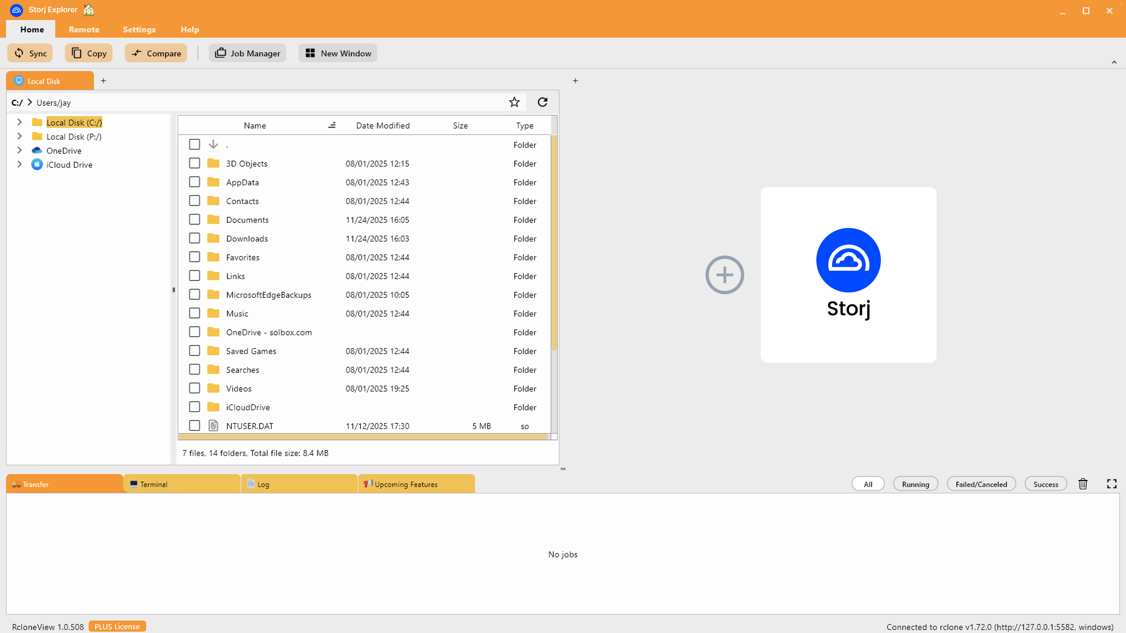 on home quick access wizard for storj