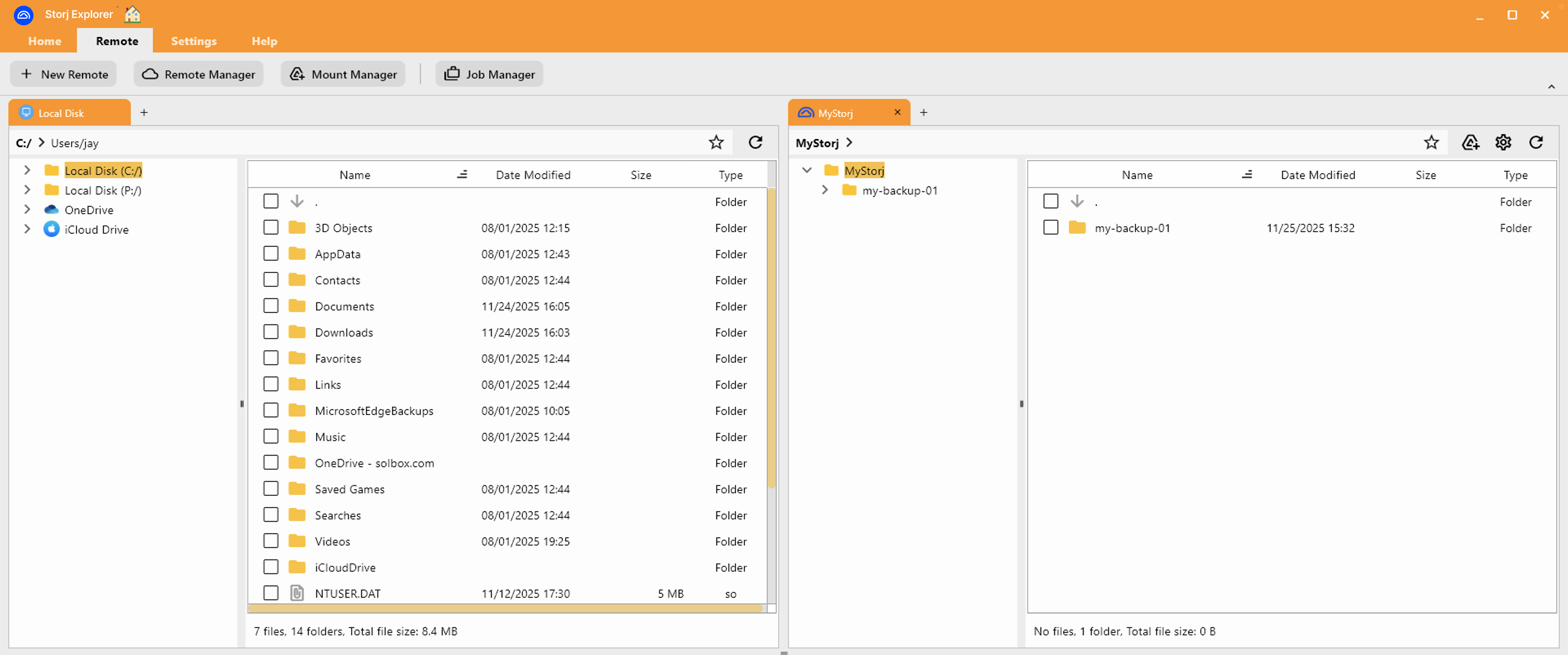 storj panel pinned on re launch